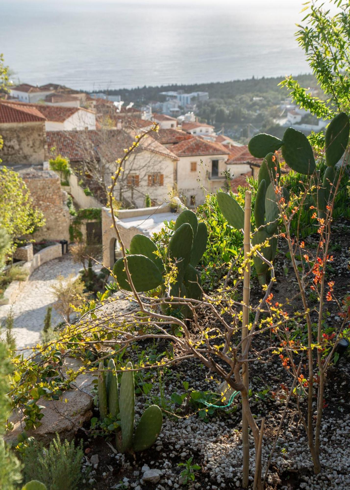 Resort Zoe Hora Dhermi